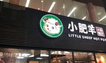 小肥羊爆料最新版