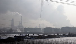 辽宁抚顺爆料事件最新进展,真相逐步浮出水面