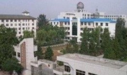 内乡一高最新爆料,揭秘校园风云背后的故事