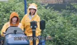 陈大锤最新爆料视频在线观看,揭秘幕后真相，精彩瞬间不容错过